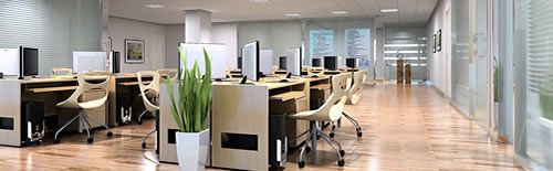 日本雙葉公司 日本雙葉公司